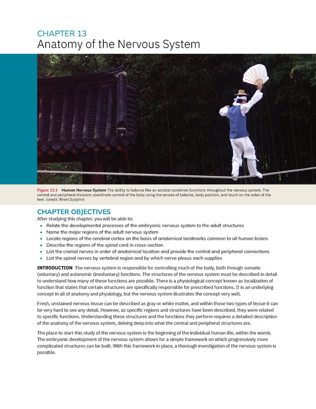 Anatomy and Physiology 2e - New Page