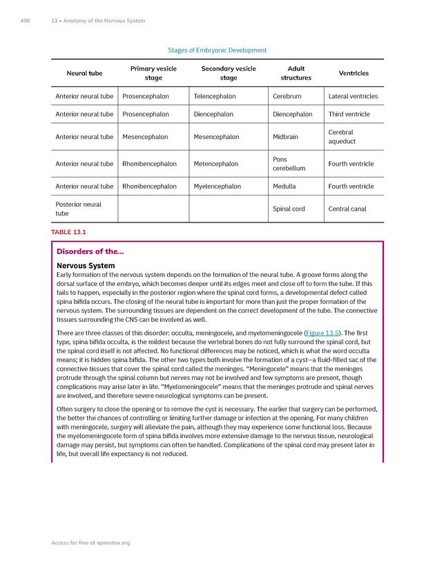 Anatomy and Physiology 2e - New Page
