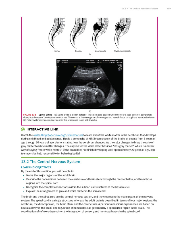 Anatomy and Physiology 2e - New Page