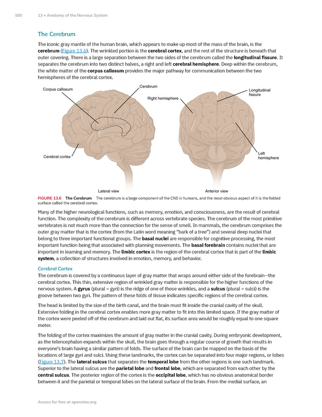 Anatomy and Physiology 2e - New Page