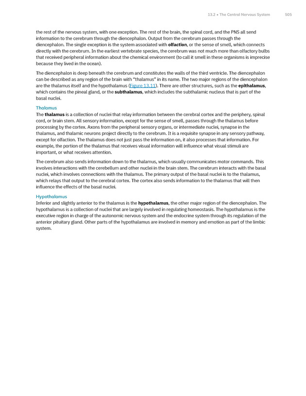 Anatomy and Physiology 2e - New Page