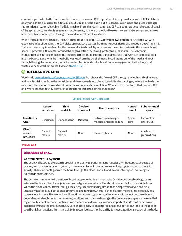 Anatomy and Physiology 2e - New Page
