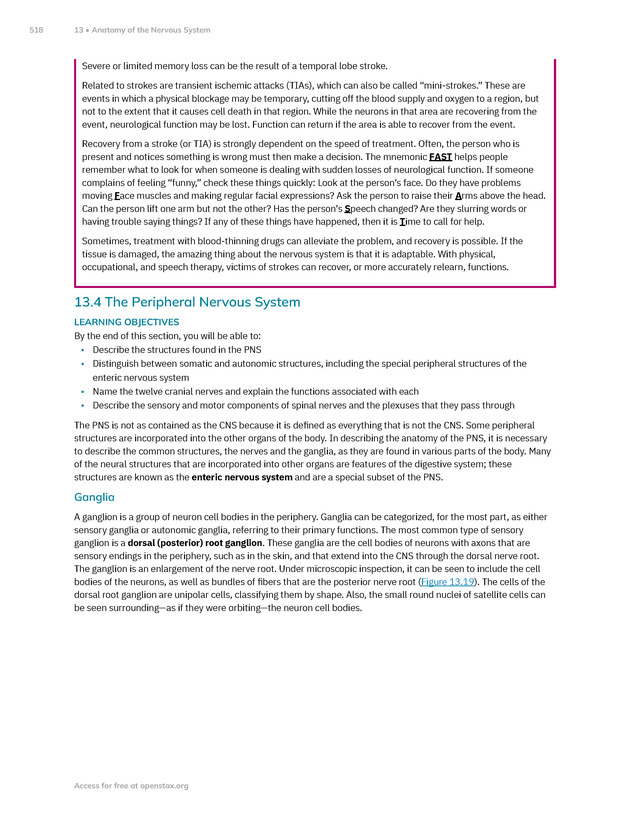 Anatomy and Physiology 2e - New Page