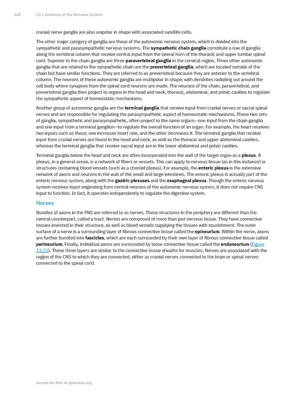 Anatomy and Physiology 2e - New Page