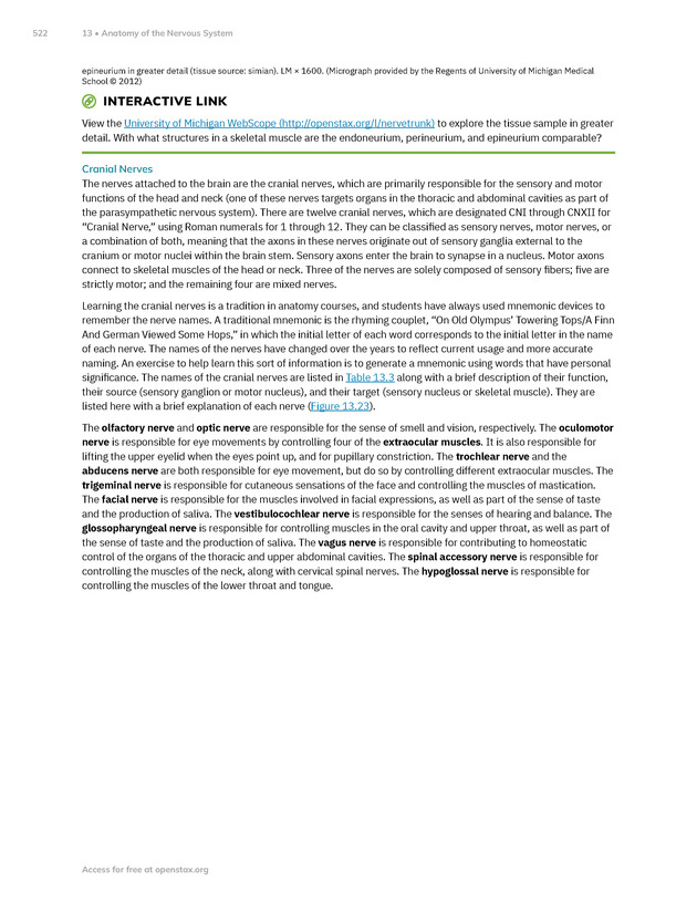 Anatomy and Physiology 2e - New Page