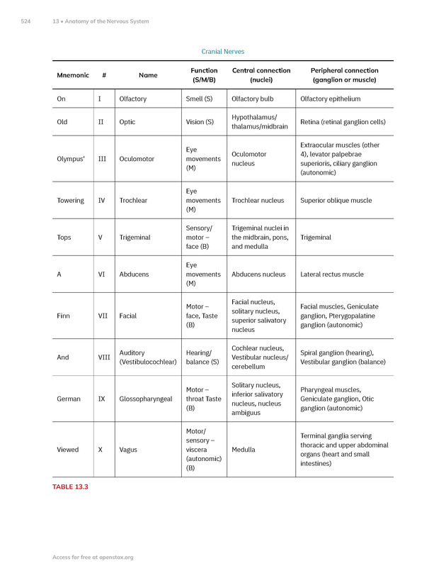 Anatomy and Physiology 2e - New Page