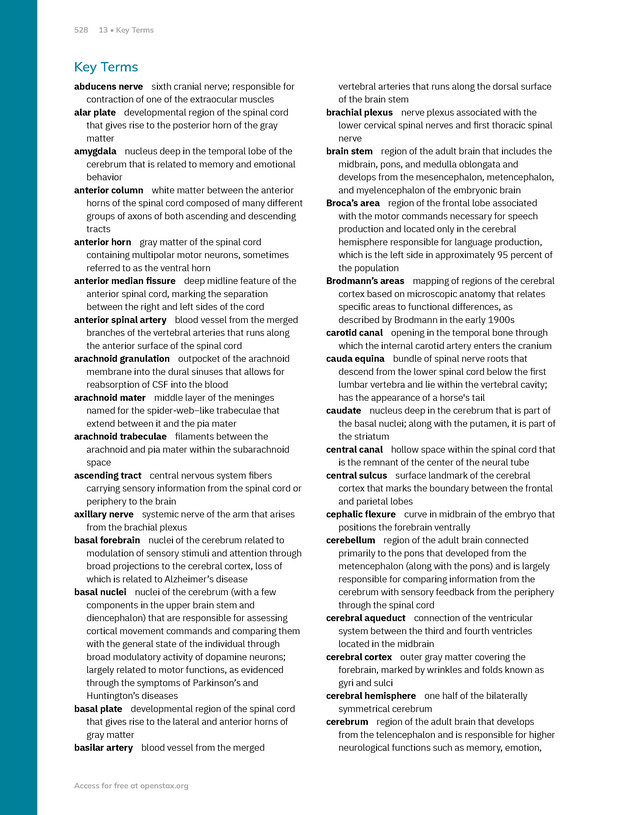Anatomy and Physiology 2e - New Page