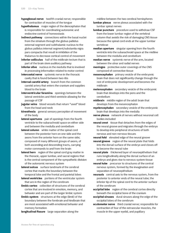 Anatomy and Physiology 2e - New Page