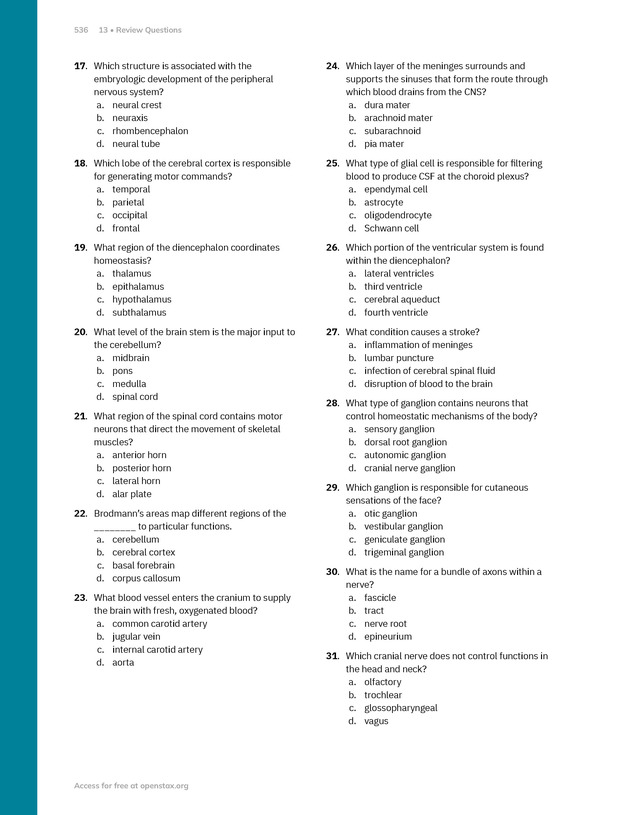 Anatomy and Physiology 2e - New Page