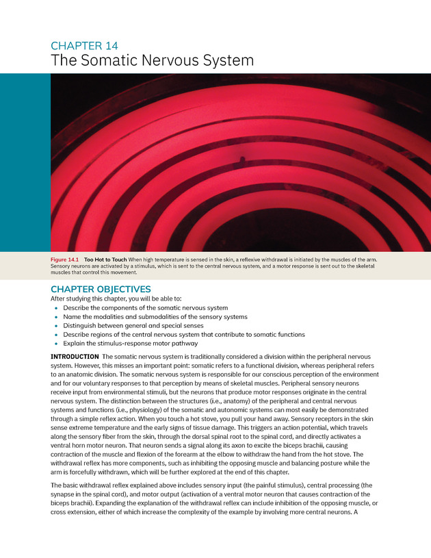 Anatomy and Physiology 2e - New Page