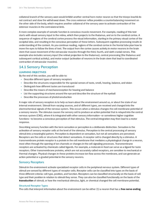 Anatomy and Physiology 2e - New Page