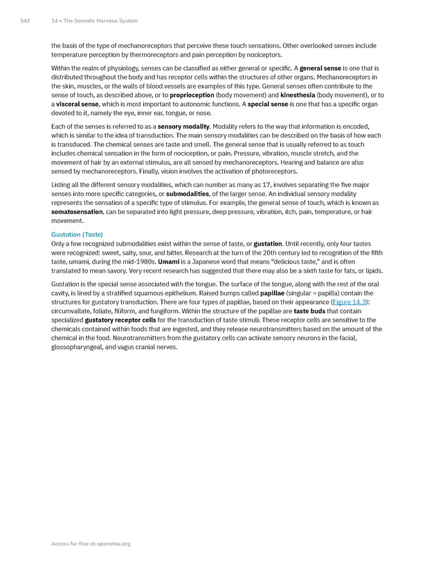 Anatomy and Physiology 2e - New Page