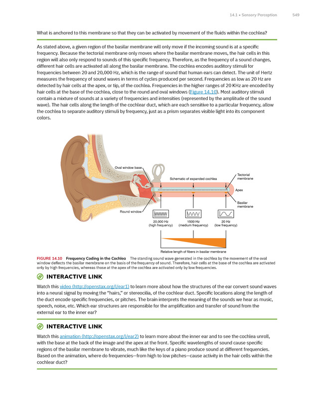 Anatomy and Physiology 2e - New Page