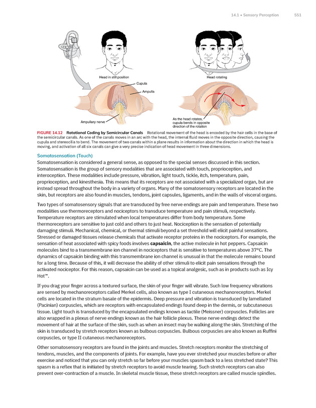 Anatomy and Physiology 2e - New Page