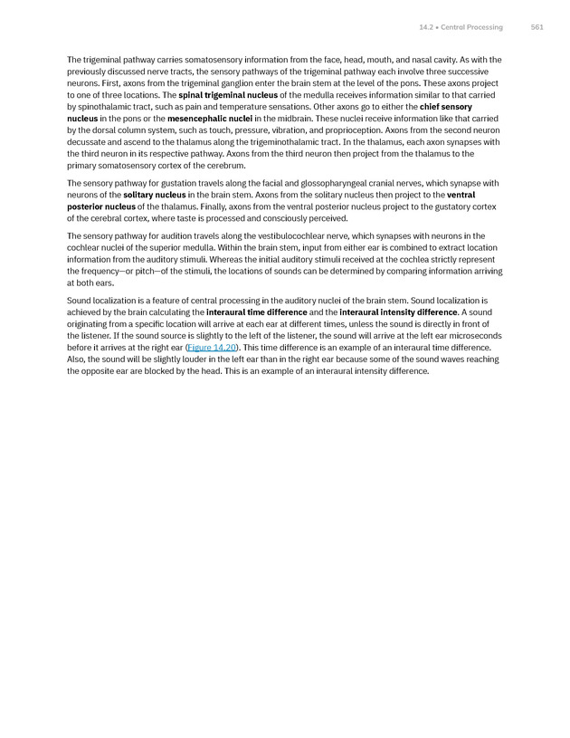 Anatomy and Physiology 2e - New Page