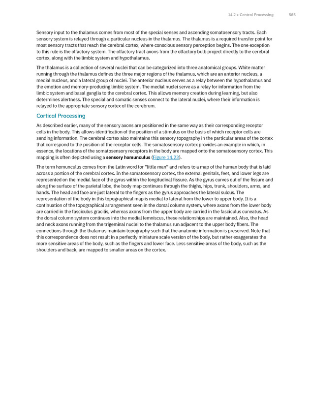 Anatomy and Physiology 2e - New Page