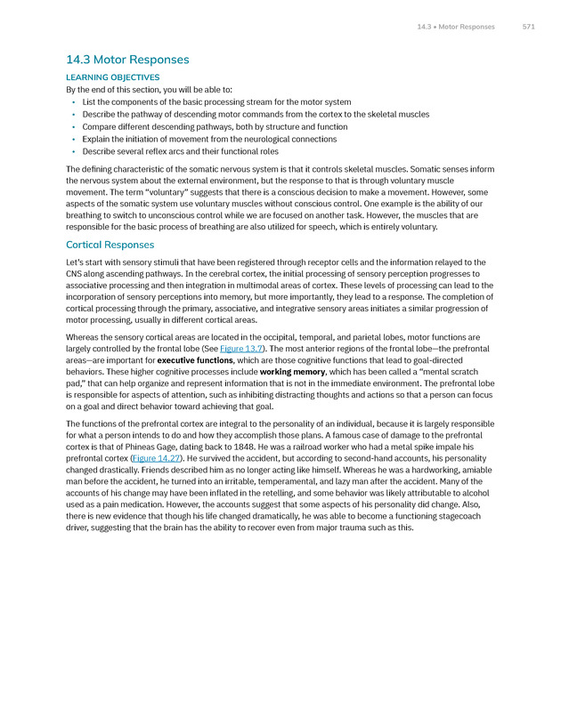 Anatomy and Physiology 2e - New Page