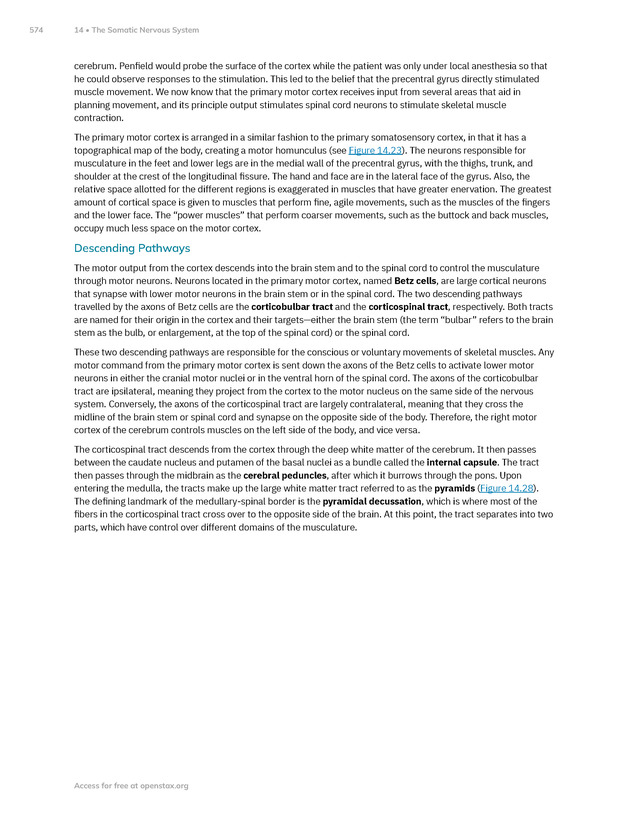 Anatomy and Physiology 2e - New Page