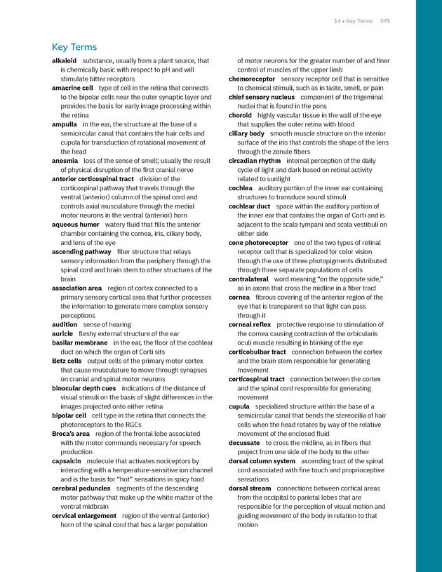Anatomy and Physiology 2e - New Page