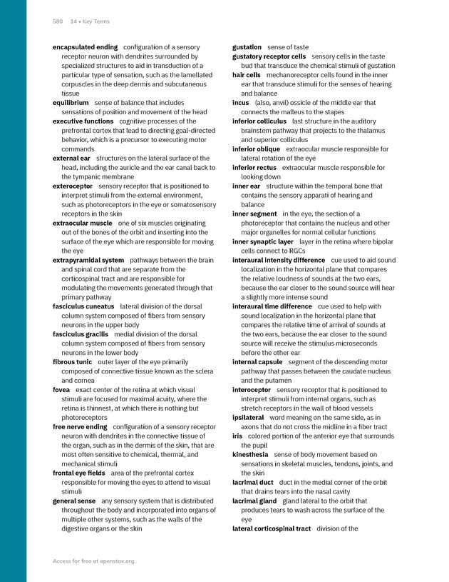 Anatomy and Physiology 2e - New Page