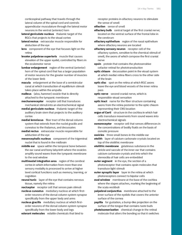 Anatomy and Physiology 2e - New Page