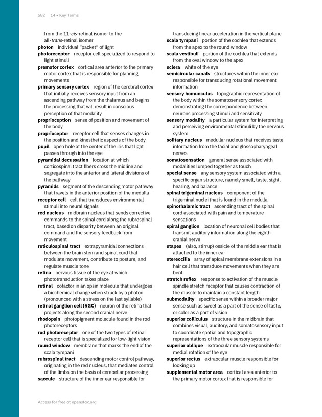 Anatomy and Physiology 2e - New Page
