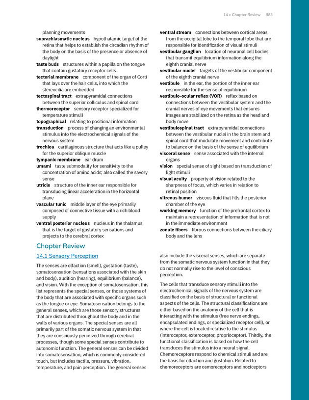 Anatomy and Physiology 2e - New Page