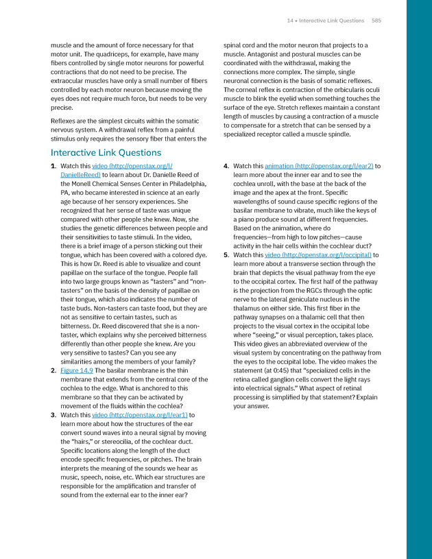 Anatomy and Physiology 2e - New Page