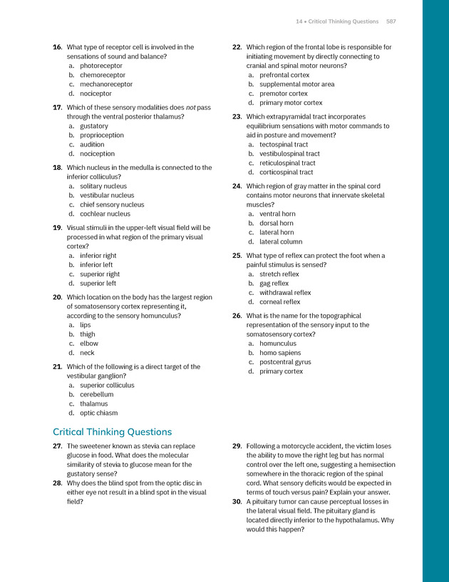 Anatomy and Physiology 2e - New Page