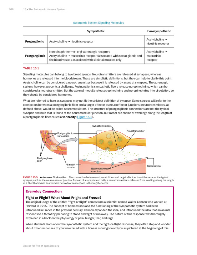 Anatomy and Physiology 2e - New Page