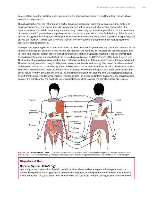 Anatomy and Physiology 2e - New Page