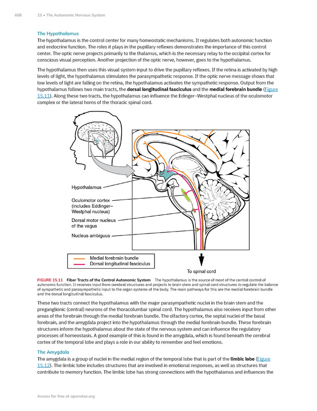 Anatomy and Physiology 2e - New Page