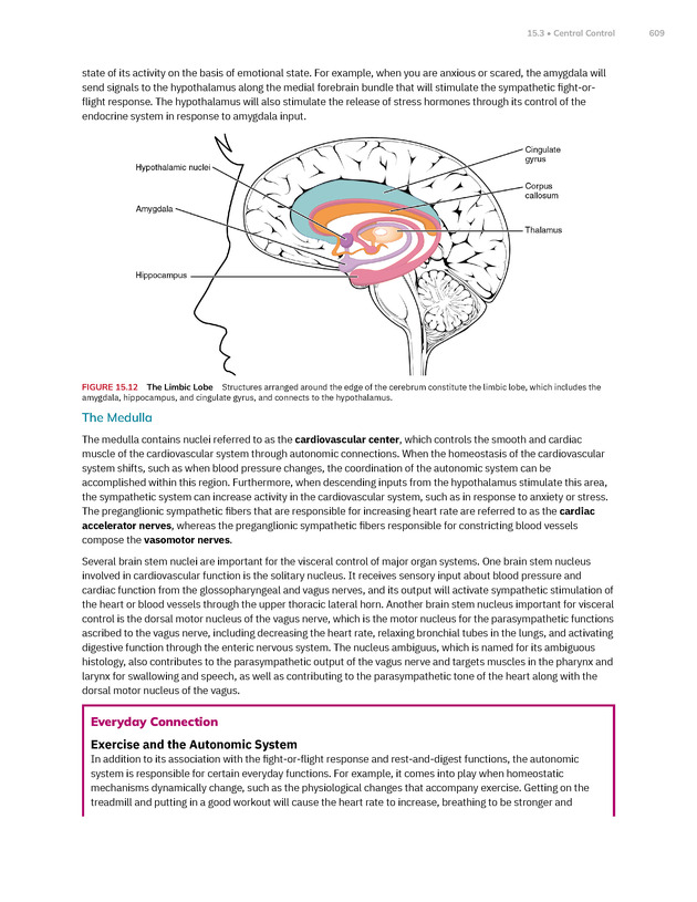 Anatomy and Physiology 2e - New Page