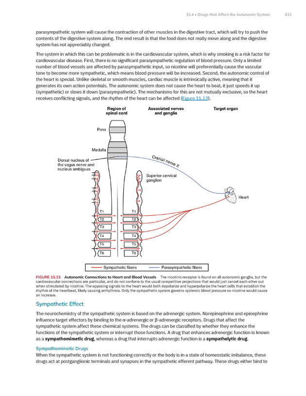 Anatomy and Physiology 2e - New Page