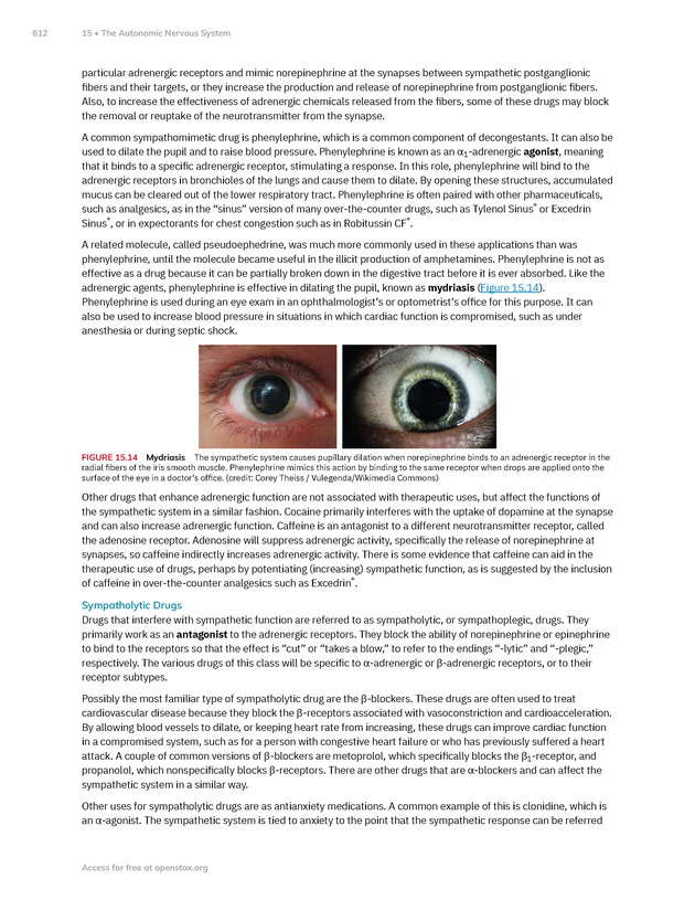 Anatomy and Physiology 2e - New Page