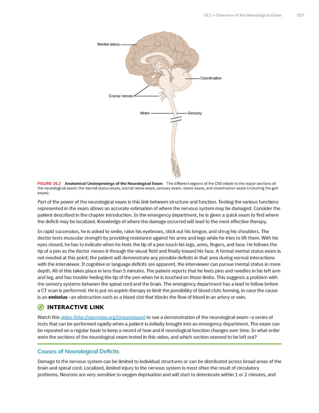 Anatomy and Physiology 2e - New Page