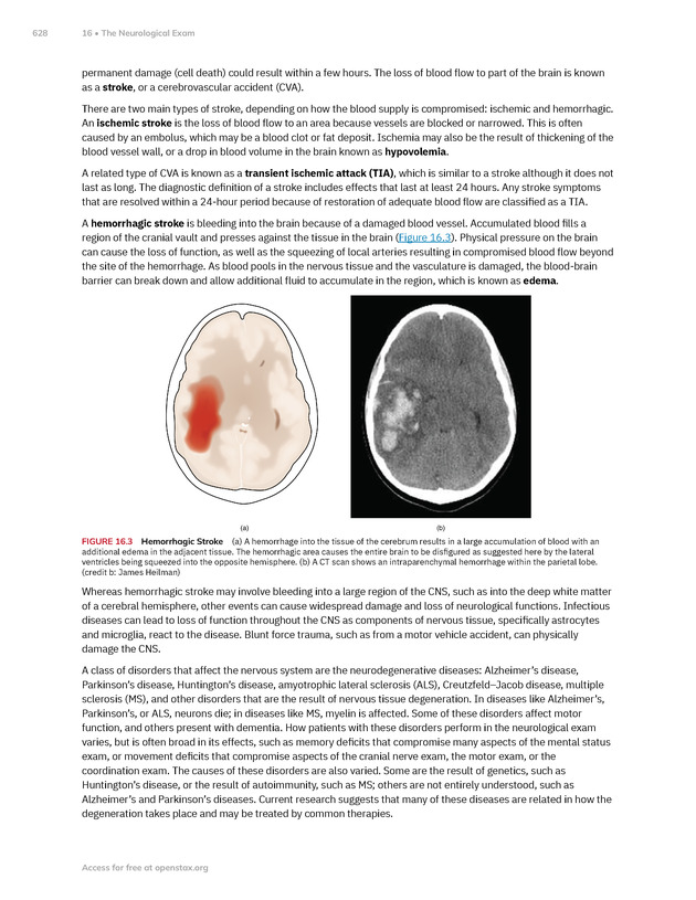 Anatomy and Physiology 2e - New Page