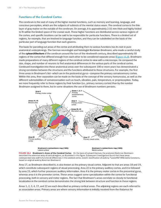 Anatomy and Physiology 2e - New Page