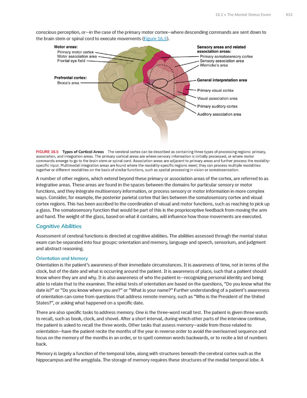 Anatomy and Physiology 2e - New Page