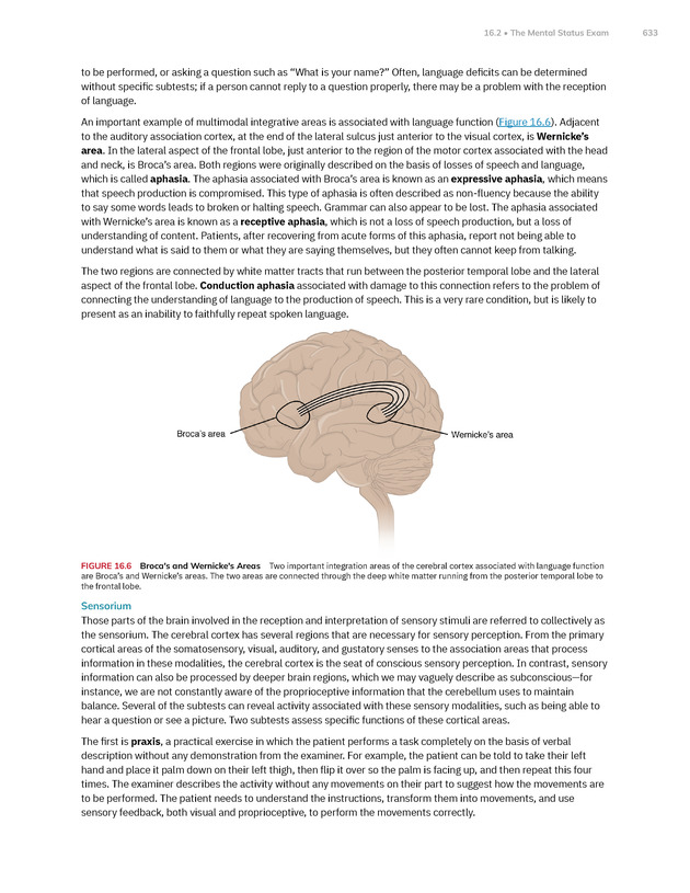 Anatomy and Physiology 2e - New Page