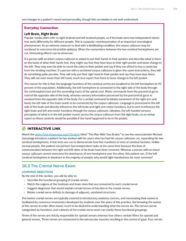Anatomy and Physiology 2e - New Page