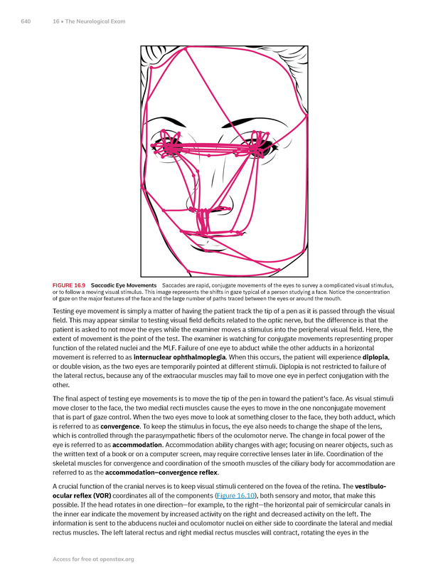 Anatomy and Physiology 2e - New Page