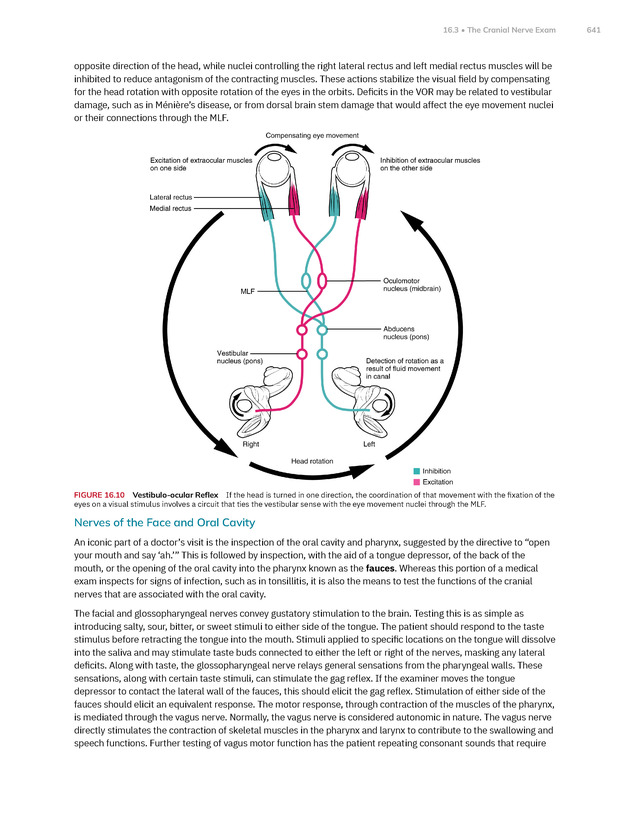 Anatomy and Physiology 2e - New Page