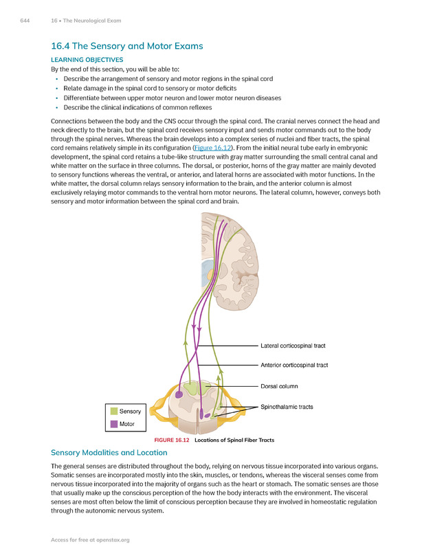 Anatomy and Physiology 2e - New Page