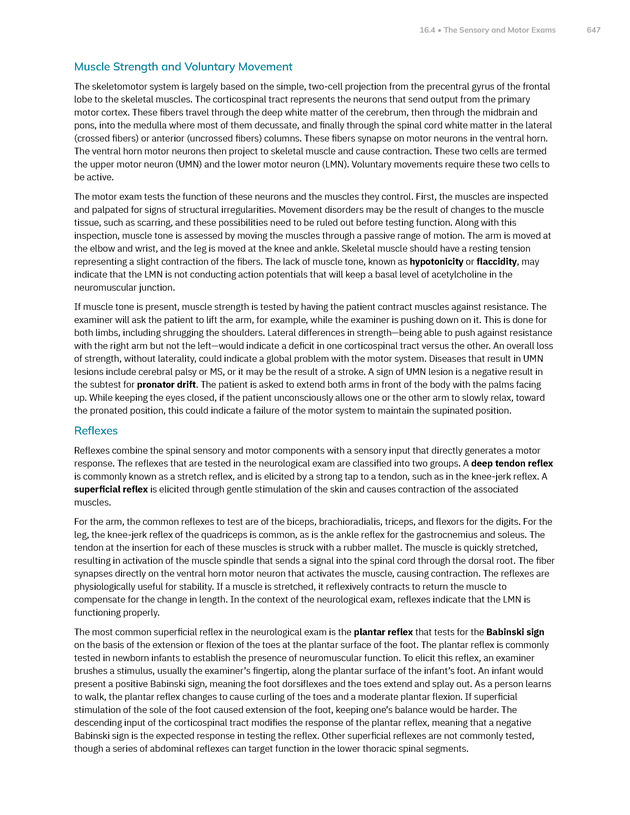 Anatomy and Physiology 2e - New Page