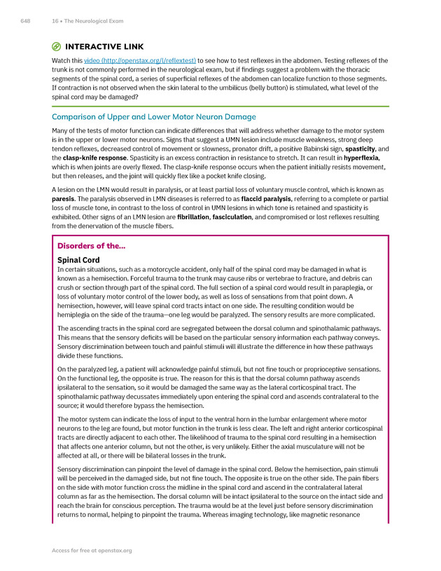 Anatomy and Physiology 2e - New Page
