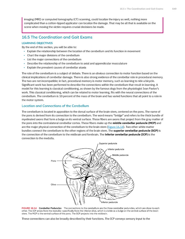 Anatomy and Physiology 2e - New Page