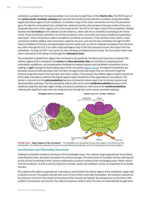 Anatomy and Physiology 2e - New Page