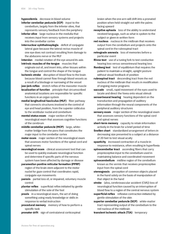 Anatomy and Physiology 2e - New Page