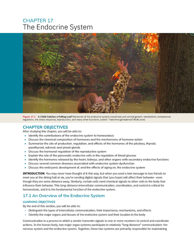 Anatomy and Physiology 2e - New Page